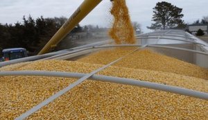 Україна вивезла третину необхідного обсягу агропродукції альтернативними маршрутами