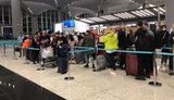 Понад 200 українців вилетіли зі Стамбула, - генконсул Гаман. ФОТО