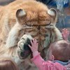 Яркендар
