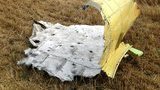 боинг