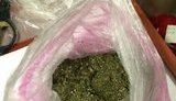 СБУ задержала работника колонии на сбыте наркотиков на Сумщине. ФОТО