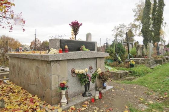 убийство мошенничество тягнибок рак новицкий