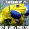 Буба Касторски