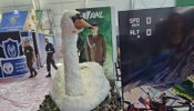 У Польщі презентували безпілотник Kaczka у вигляді лебедя