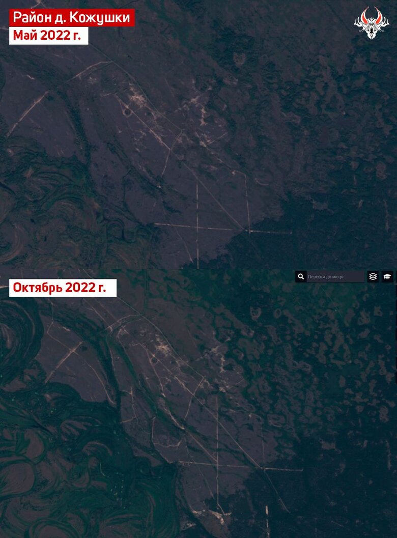 Россияне запускают дроны-камикадзе из белорусской части Чернобыльской зоны, - СМИ 03