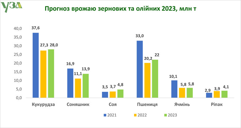 Врожай перевищить 80 мільйонів тонн: УЗА вже втретє покращила свою оцінку 01