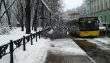 Около ВР огромная ветка обвалилась на тротуар. ФОТО