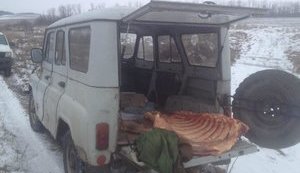 Контрабандисты пытались вывезти 340 кг мяса из Луганской области в РФ, - ГПСУ. ФОТО