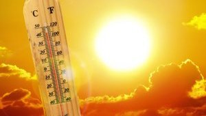 Країни G20 не змогли домовитися щодо двох кліматичних цілей