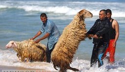 Южное побережье