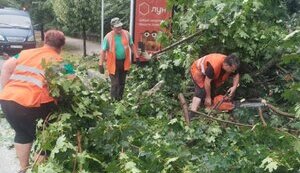 Через негоду в Києві постраждали 5 осіб, зокрема 13-річна дівчина