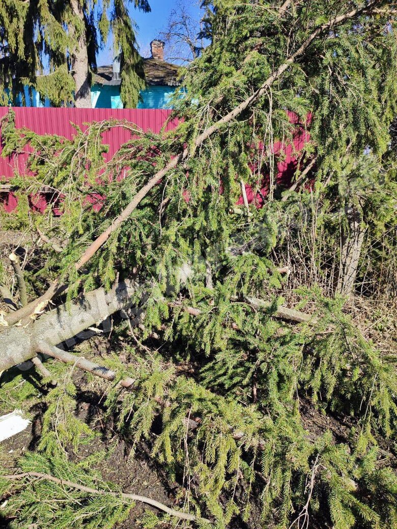 У Курській області повідомляють про обстріл кількох сіл 06