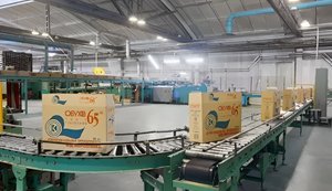 Після удару дронів РФ Обухівський паперовий комбінат зупинив виробництво