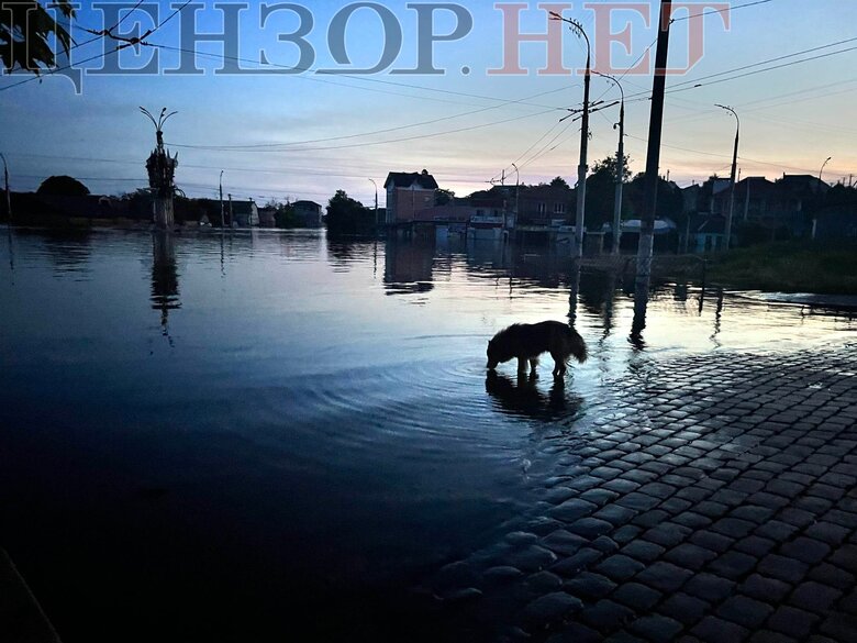 Поки не зійшла вода. Як виживають люди у затопленій частині Херсону 11