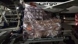 Apple доставила в "Бориспіль" першу офіційну партію своєї продукції: прибуло 8 тисяч IPhone 13 на $7,5 млн. ВIДЕО