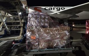 Apple доставила в "Борисполь" первую официальную партию своей продукции: прибыло 8 тысяч IPhone 13 на $7,5 млн. ВИДЕО