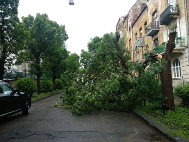 Жінка загинула через негоду у Львові 13