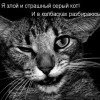 Виктор Суворов #387969