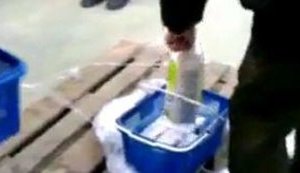 В Минске паника: Белорусы скупают муку, сахар, спички. ВИДЕО.