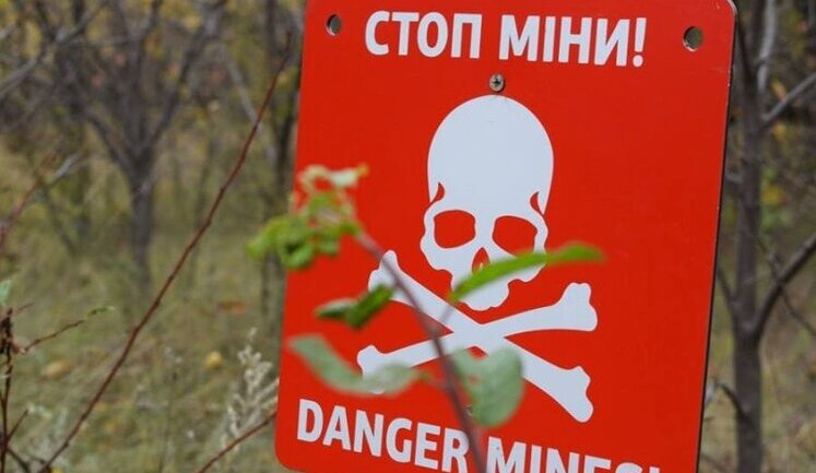 Оператори протимінної діяльності зможуть пройти сертифікацію у "Дії", це займе близько місяця, – Свириденко