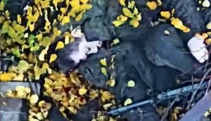 Russian assault group of 14 occupiers was eliminated near Chasiv Yar: work of 24th Brigade. VIDEO 18+