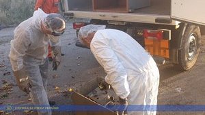 На Одесчине обнаружено радиоактивное оборудование, излучение которого превышало нормы в 500 раз, - СБУ. ВИДЕО