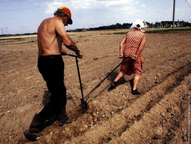 Цензор.НЕТ Изображение