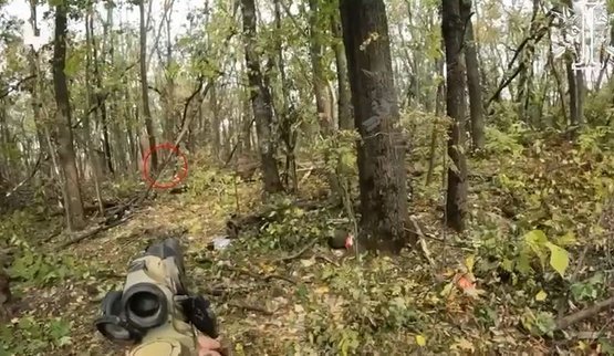 Бойцы ССО провели зачистку в лесистой местности на Северо-Слобожанском направлении