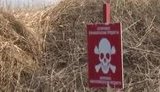 Принятый закон о противоминной деятельности значительно ускорит процесс разминирования Донбасса, - Ирина Геращенко. ВИДЕО