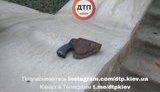 стрельба