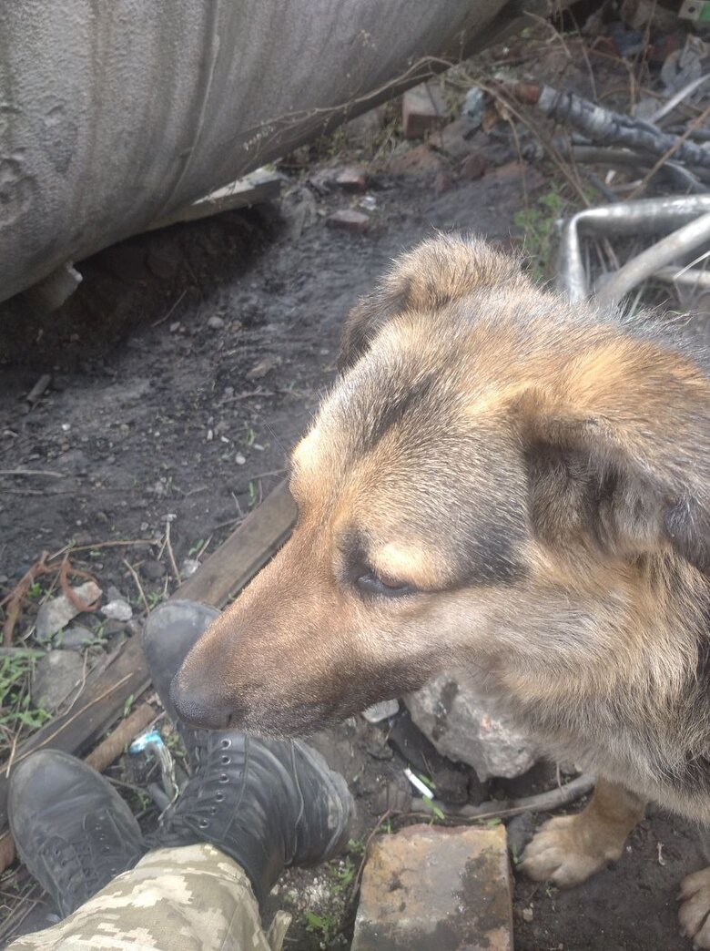 Євген Гнаток: Байрактари - це прикольна штука. Але за його вартість можна зробити декілька десятків тисяч інших дронів 02