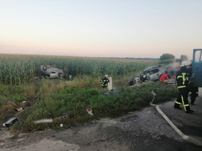 Малолетний ребенок погиб в ДТП на Киевщине, - Нацполиция 01