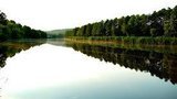ГосЧС не обнаружила загрязнения воды возле Белой Церкви из-за попадания химикатов в реку Рось