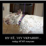 Злые вы... пойду лучше в Сирию