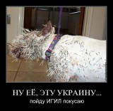 Злые вы... пойду лучше в Сирию
