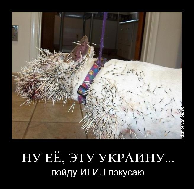 Злые вы... пойду лучше в Сирию