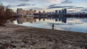 Kobzon and Tabachnyk appropriated 7.5 ha of beach area at Dnipro river, - Kyiv city council deputy Sandalova. PHOTOS