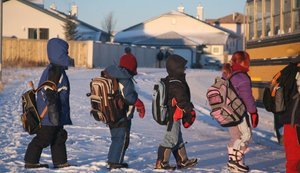 Очне навчання на Київщині відновлюють з 19 січня