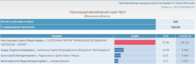 выборы цик подсчет голосов