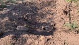 Бутусов о ситуации в зоне ООС: Безостановочно идут боевые действия малой интенсивности. ВИДЕО+ФОТОрепортаж