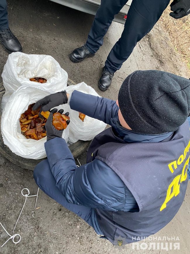 Глава сельсовета на Ривненщине незаконно перевозил около 30 кг янтаря на сумму $30 тыс., - Нацполиция 01
