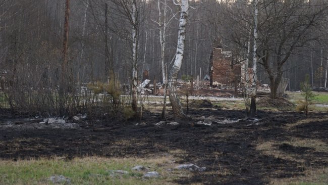 Причина лісових пожеж - приховування вирубки лісів, - Білецький показав кадри наслідків підпалів на Житомирщині 03 Причина лісових пожеж - приховування вирубки лісів, - Білецький показав кадри наслідків підпалів на Житомирщині 03