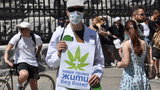 Легализация медицинского каннабиса поможет около 2 миллионам украинцев, нуждающимся в таких препаратах, - ОП