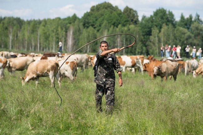 Сколько фермерам будет стоить переход на новые стандарты молока 01