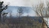Пожежа знищила три господарські будівлі й два дачні будинки на Київщині, - ДСНС