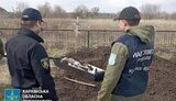 ексгумація