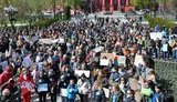 митинг цирк
