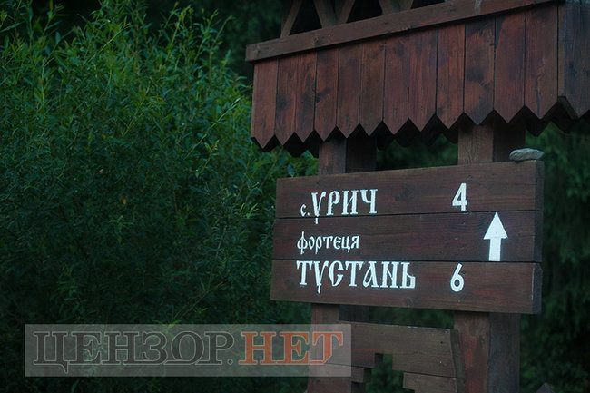 Вырубка леса-кругляка в украинских Карпатах 06