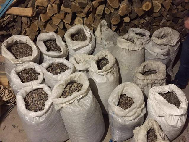 PGO, SBU stage raids in Zhytomyr region, seize 500 kilos of amber and weapons, - Lutsenko 01 PGO, SBU stage raids in Zhytomyr region, seize 500 kilos of amber and weapons, - Lutsenko 01