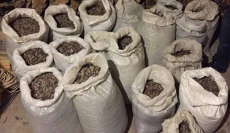 PGO, SBU stage raids in Zhytomyr region, seize 500 kilos of amber and weapons, - Lutsenko. PHOTOS